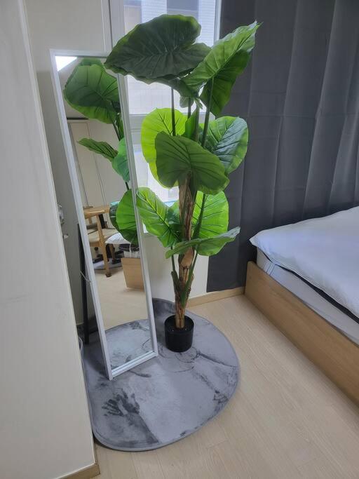 Gangnam Apartment *